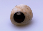 Photo of Artificial Eye